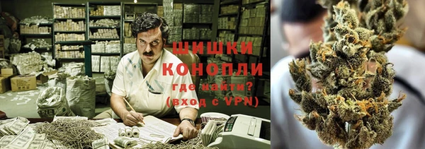 метадон Богданович