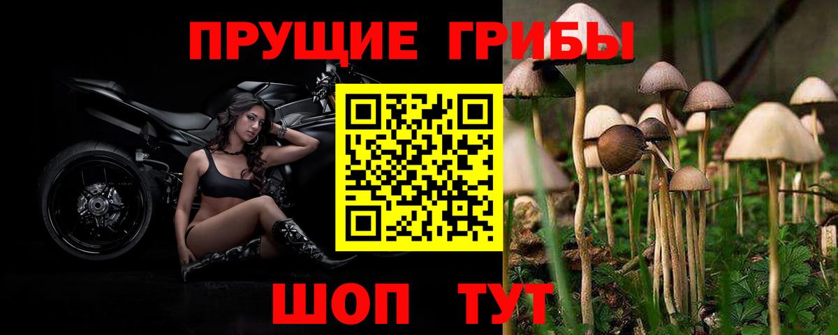 Псилоцибиновые грибы ЛСД Пыть-Ях